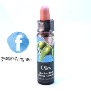 厚生花精-橄欖 Olive 10ml