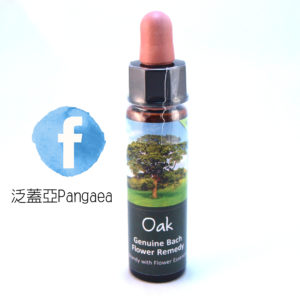 厚生花精-橡樹Oak 10ML