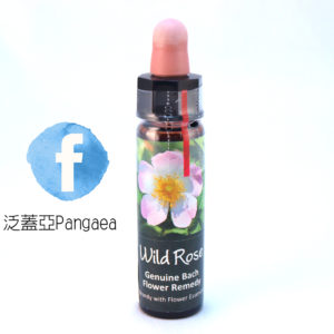 厚生花精-野玫瑰 Wild Rose 10ml